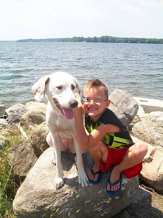 Yuki joined the competition — help win amazing prizes! carnivore, cloud, companion_dog, dog, dog_breed, fawn, fun, happy, lake, leisure, recreation, shorts, sitting, sky, smile, sporting_group, t_shirt, toddler, water, working_animal