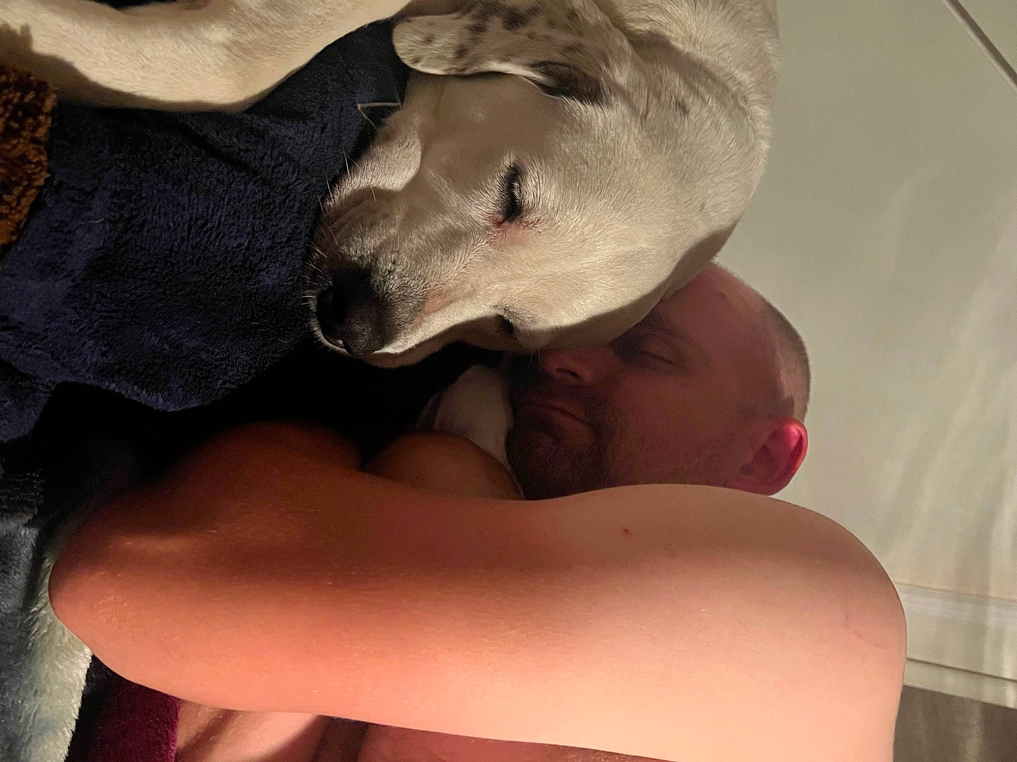 Yuki is registered to the contest to win money with this photo: abdomen, barechested, black_hair, carnivore, chest, comfort, companion_dog, dog_breed, elbow, fawn, gesture, hand, happy, head, human_body, jaw, joint, snout, thigh, trunk