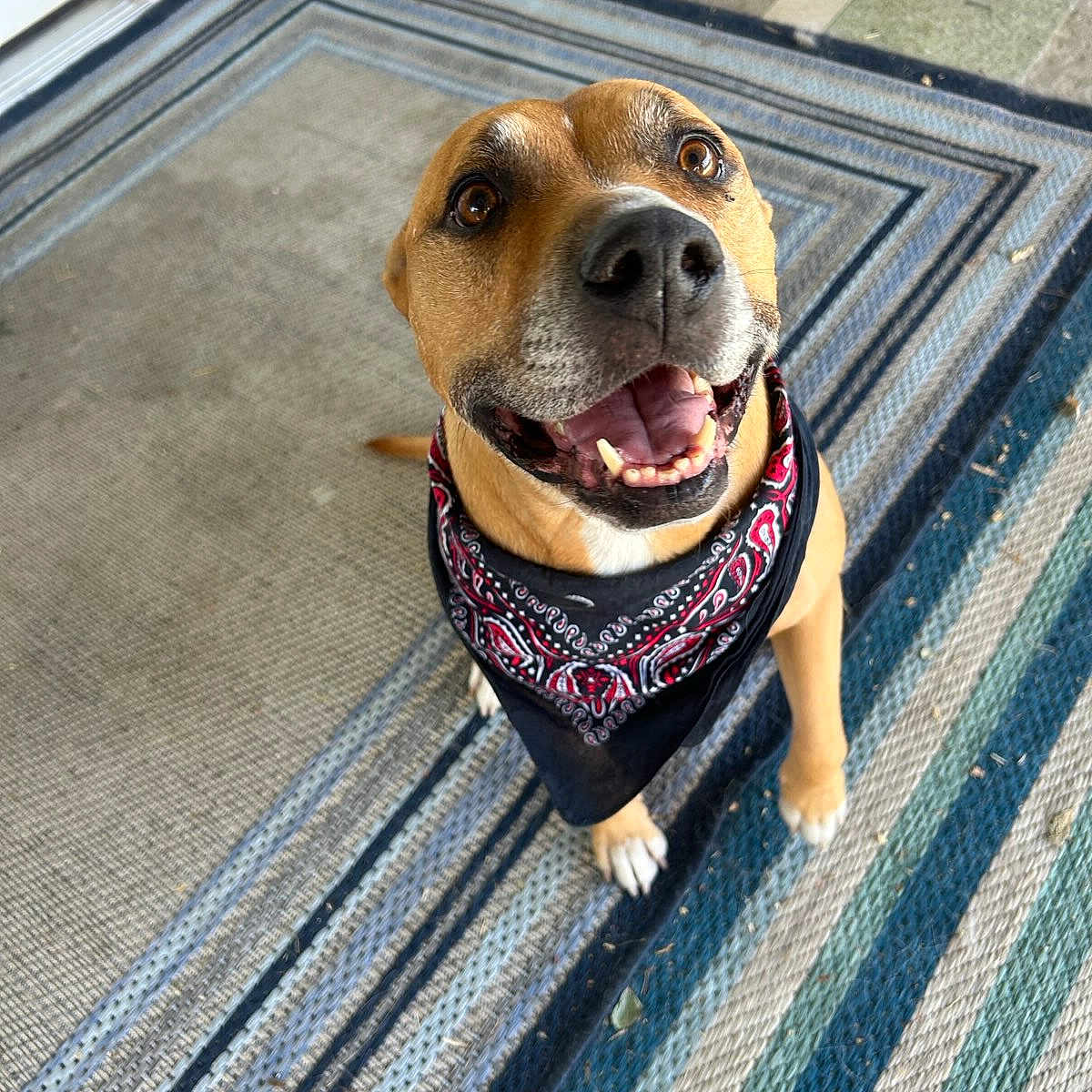Molly