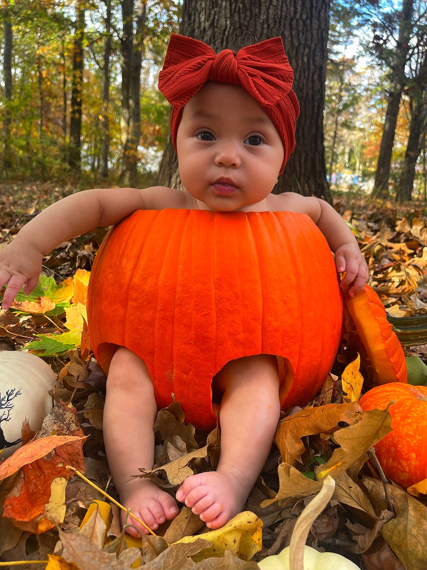 Avianna joined the competition — help win amazing prizes! baby, bodypart, clothing, face, finger, food, hand, head, leaf, person, photography, plant, portrait, produce, pumpkin, soil, squash, tree, vegetable, vegetation