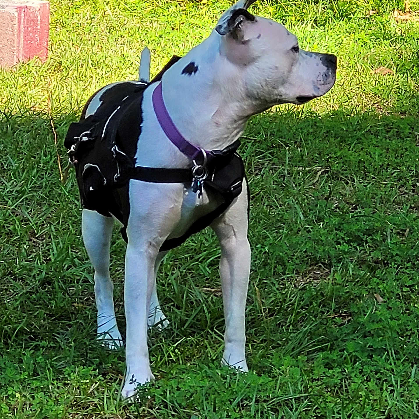 Keyla