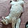 Apollon
