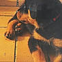 animal, black_and_tan, closeup, collar, curious, dog, fur, laying_down, orange_tiles, outdoor, paws, pet, plastic_container, puppy, relaxed, rottweiler, shadow, sunlight, tile_floor, young_dog