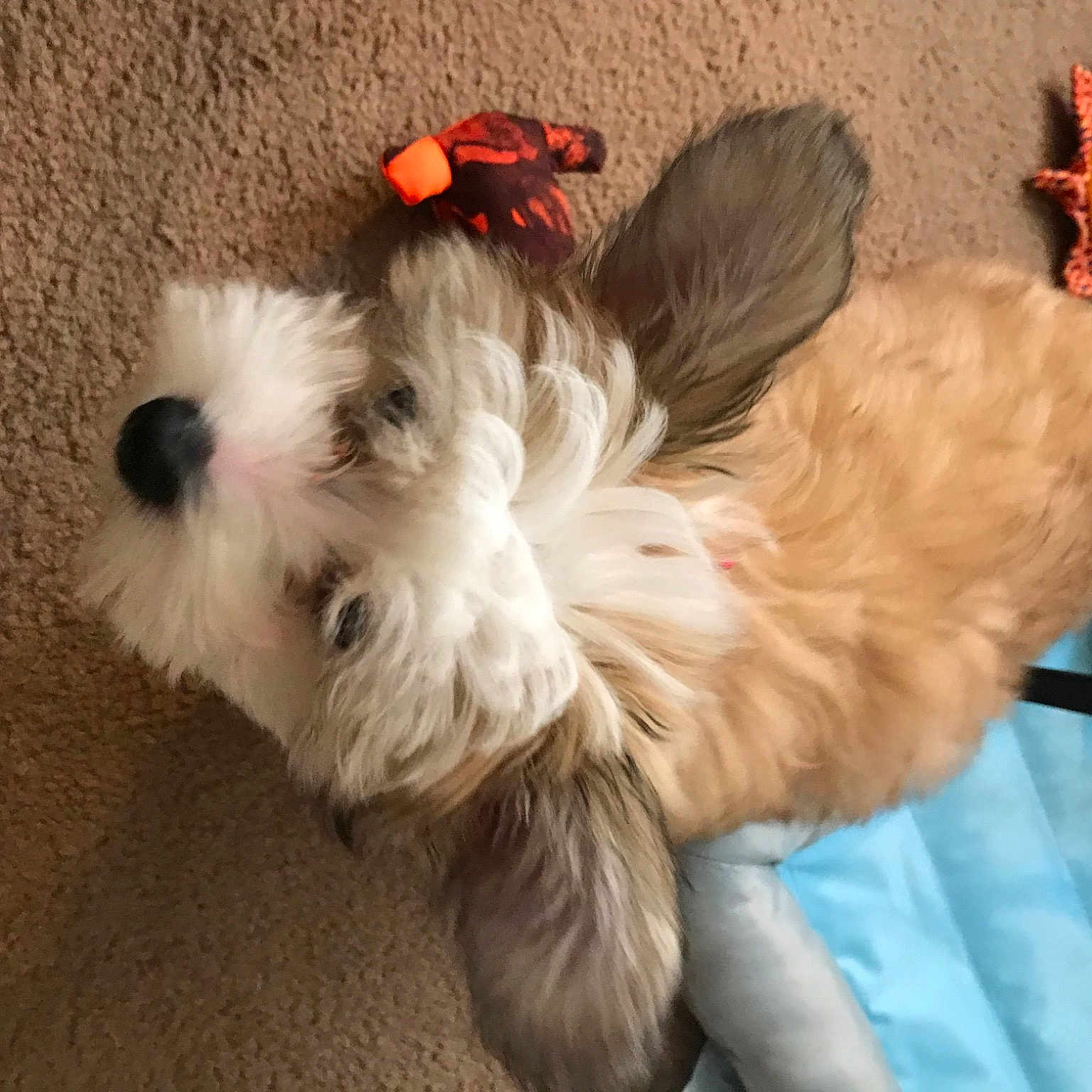 Charlie