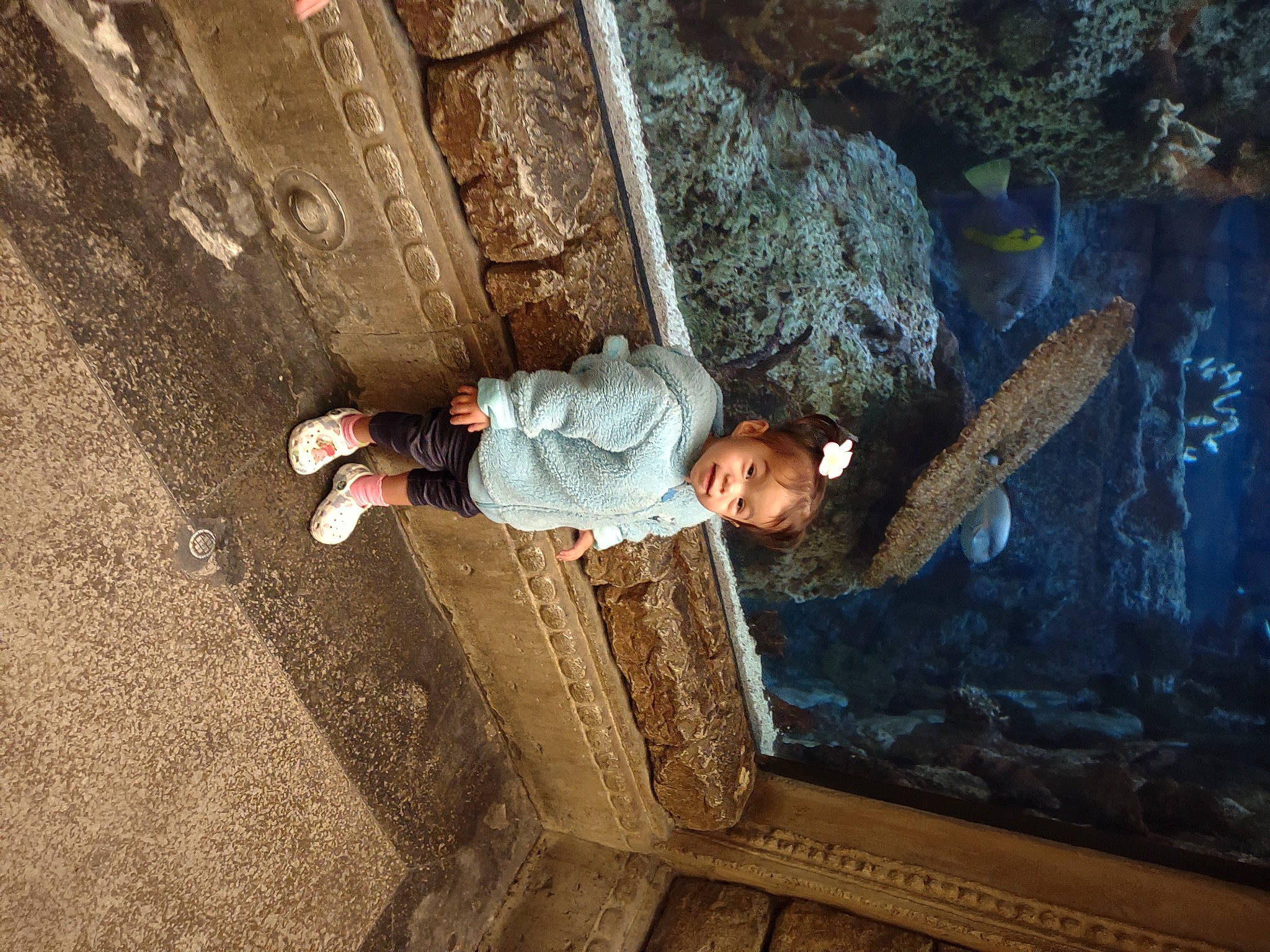 Kaliyah joined the competition — help win amazing prizes! adventure, bouldering, climbing, concrete, extreme_sport, flash_photography, fun, geology, jeans, leisure, person, recreation, rock, rock_climbing, shadow, soil, sport_climbing, toddler, tree, wall