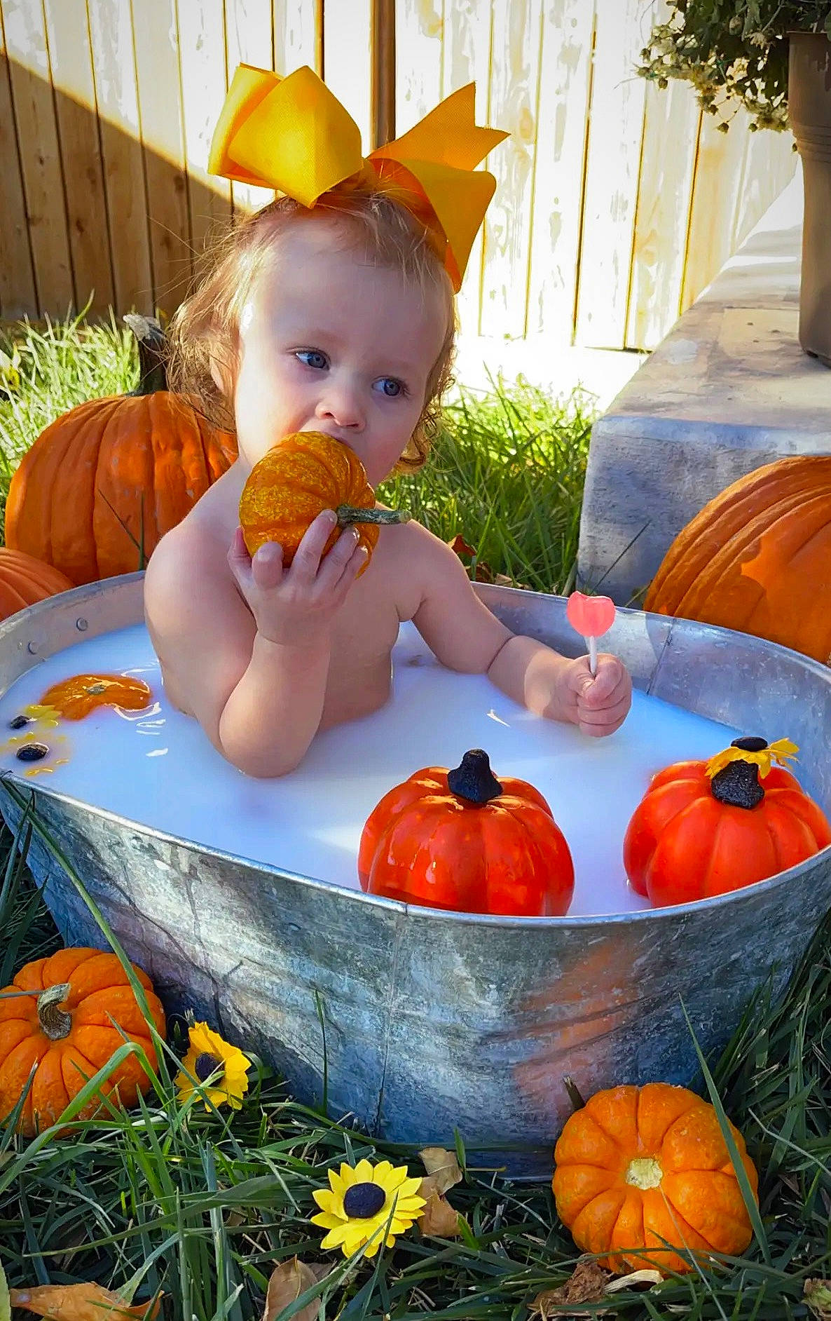 Pyper joined the competition — help win amazing prizes! calabaza, cucurbita, fruit, gourd, grass, leaf, local_food, morning, natural_foods, orange, person, photograph, plant, produce, pumpkin, squash, toddler, vegetable, whole_food, winter_squash