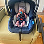 Roy is registered to the contest to win money with this photo: baby, newborn, car_seat, pacifier, hat, indoor, leather_chair, wooden_floor, baby_clothing, infant, child, person, seatbelt, graco, newborn_hat, baby_feet, baby_face, baby_hands, baby_accessory, baby_carrier