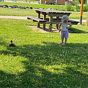 Leenaïa participe au concours pour gagner de l'argent avec cette photo : animal, bench, casual, child, daylight, duck, grass, greenery, hat, nature, outdoor, park, person, picnic_table, shade, summer_clothes, toddler, trees, umbrella, walking