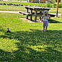 animal, bench, casual, child, daylight, duck, grass, greenery, hat, nature, outdoor, park, person, picnic_table, shade, summer_clothes, toddler, trees, umbrella, walking