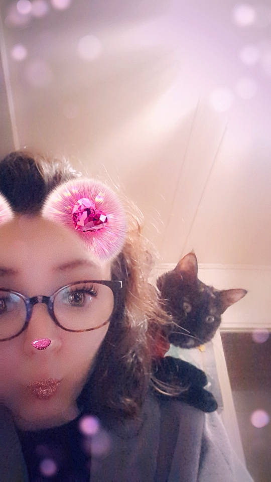 Biscotte a rejoint le concours — aidez-le/la à gagner de superbes lots ! black_hair, cat, ear, eye, eyebrow, eyelash, eyewear, flower, glasses, happy, head, human_body, iris, jaw, lip, petal, plant, skin, smile, vision_care