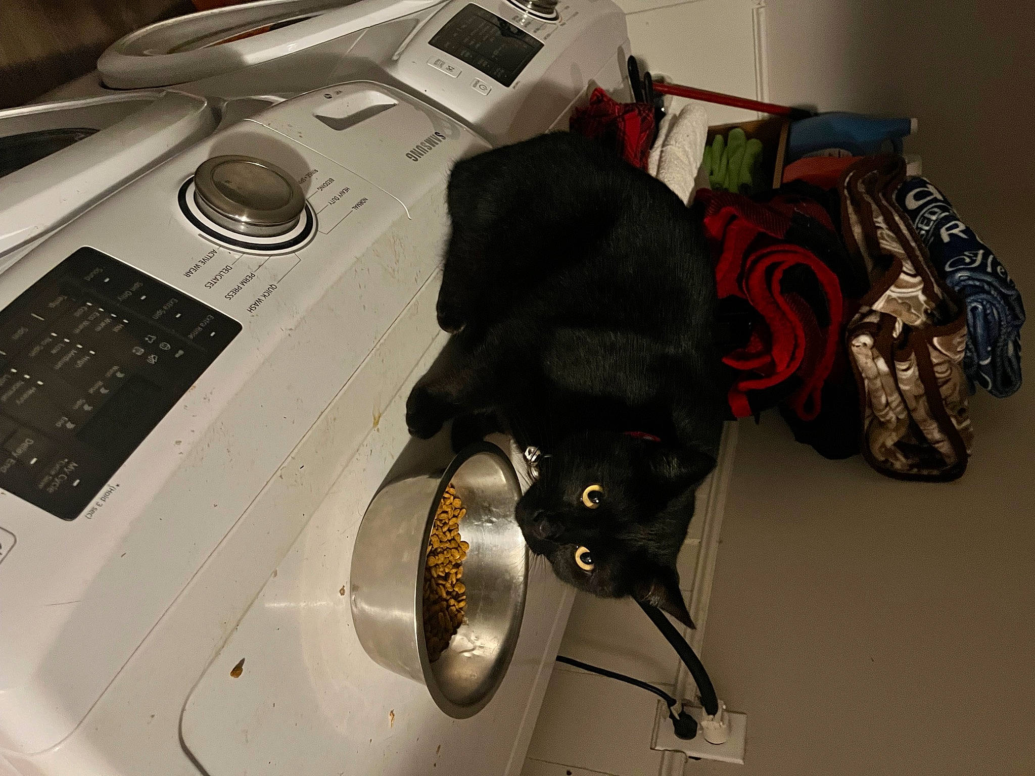 Springer joined the competition — help win amazing prizes! audio_equipment, bombay, carnivore, cat, corded_phone, desk, electronic_device, eyewear, felidae, gadget, hat, helmet, input_device, mouse, office_equipment, personal_protective_equipment, small_to_medium_sized_cats, table, telephone, whiskers