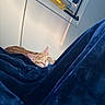 cat, orange_tabby, sleeping, blanket, blue_blanket, indoor, window, air_conditioner, resting, cozy, pet, feline, relaxing, soft_light, home, comfort, fur, nap, quiet, domestic