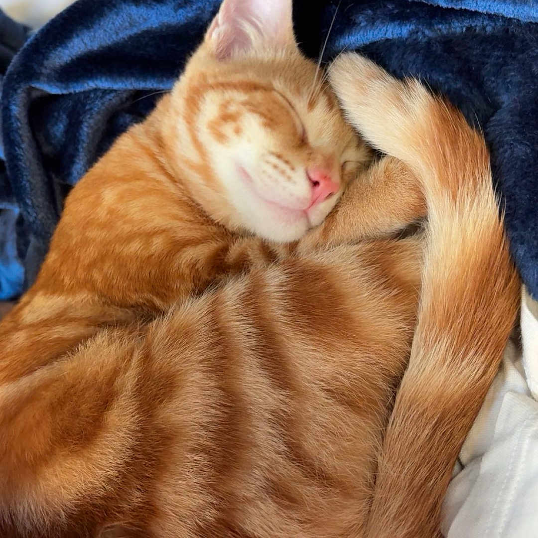 Lucky