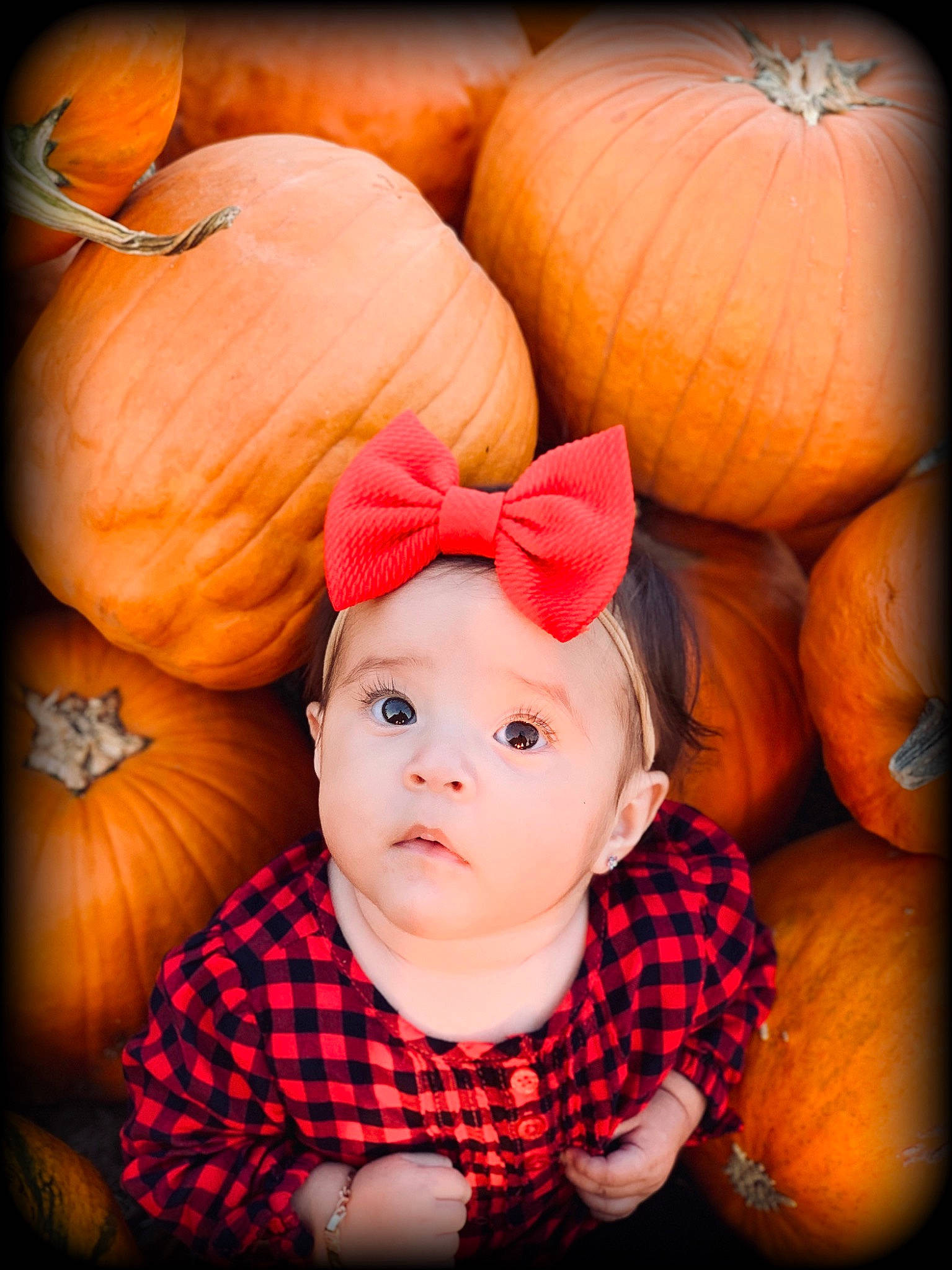 Stacy is registered to the contest to win money with this photo: autumn, baby, calabaza, cheek, child, cucurbita, face, food, fruit, gourd, headwear, orange, person, photography, plant, portrait_photography, pumpkin, smile, squash, toddler