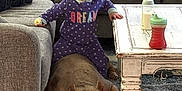Bruno joined the competition — help win amazing prizes! toddler, dog, pit_bull, carpet, couch, blanket, coffee_table, sippy_cup, onesie, polka_dot, living_room, child, pet, floor, furniture, home, indoor, resting, standing, trust