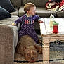 toddler, dog, pit_bull, carpet, couch, blanket, coffee_table, sippy_cup, onesie, polka_dot, living_room, child, pet, floor, furniture, home, indoor, resting, standing, trust