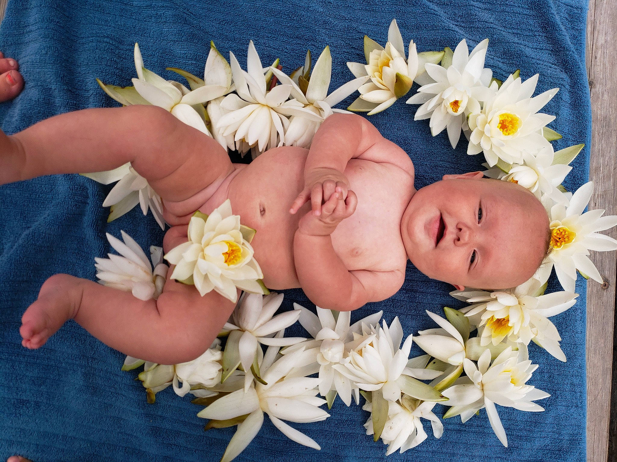 Eleanor Mae is registered to the contest to win money with this photo: baby, baby_sleeping, baby_toddler_clothing, blue, child, comfort, cut_flowers, finger, flower, flowering_plant, gesture, happy, nail, person, petal, spring, textile, thumb, toddler, white