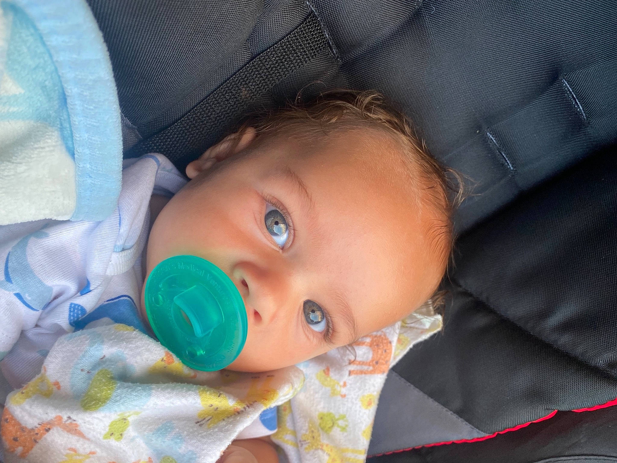 Alonzo joined the competition — help win amazing prizes! baby, baby_products, baby_toddler_clothing, cheek, child, comfort, eye, eyelash, grass, iris, lip, nose, pattern, person, sitting, skin, toddler