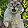 Minxy