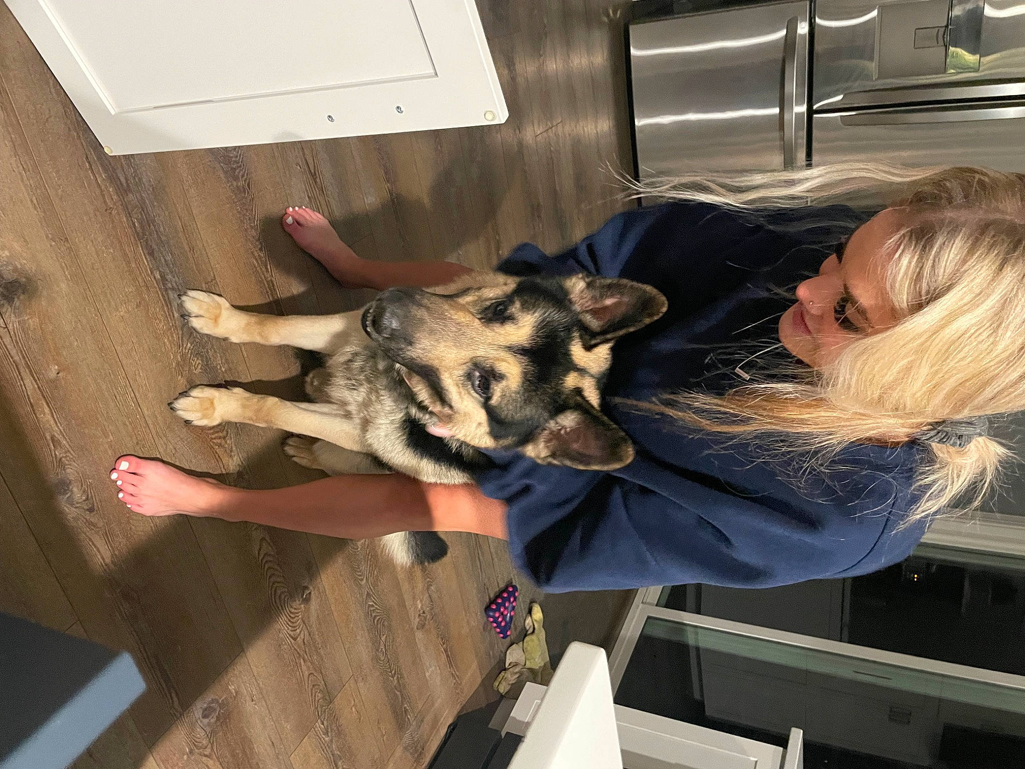 Colt is registered to the contest to win money with this photo: canidae, carnivore, companion_dog, dog, dog_breed, ear, fawn, flooring, fun, fur, hardwood, herding_dog, mammal, natural_material, sporting_group, wood, working_animal