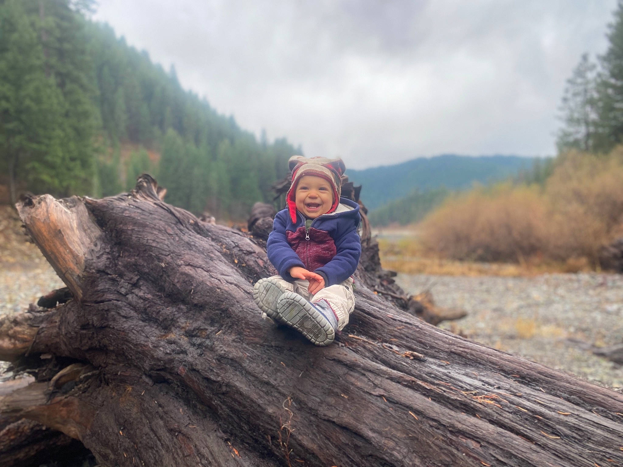 Esteban joined the competition — help win amazing prizes! adventure, forest, headwear, joy, landscape, mountain, old_growth_forest, person, plant, recreation, rock, sitting, tree, trunk, wilderness, wood