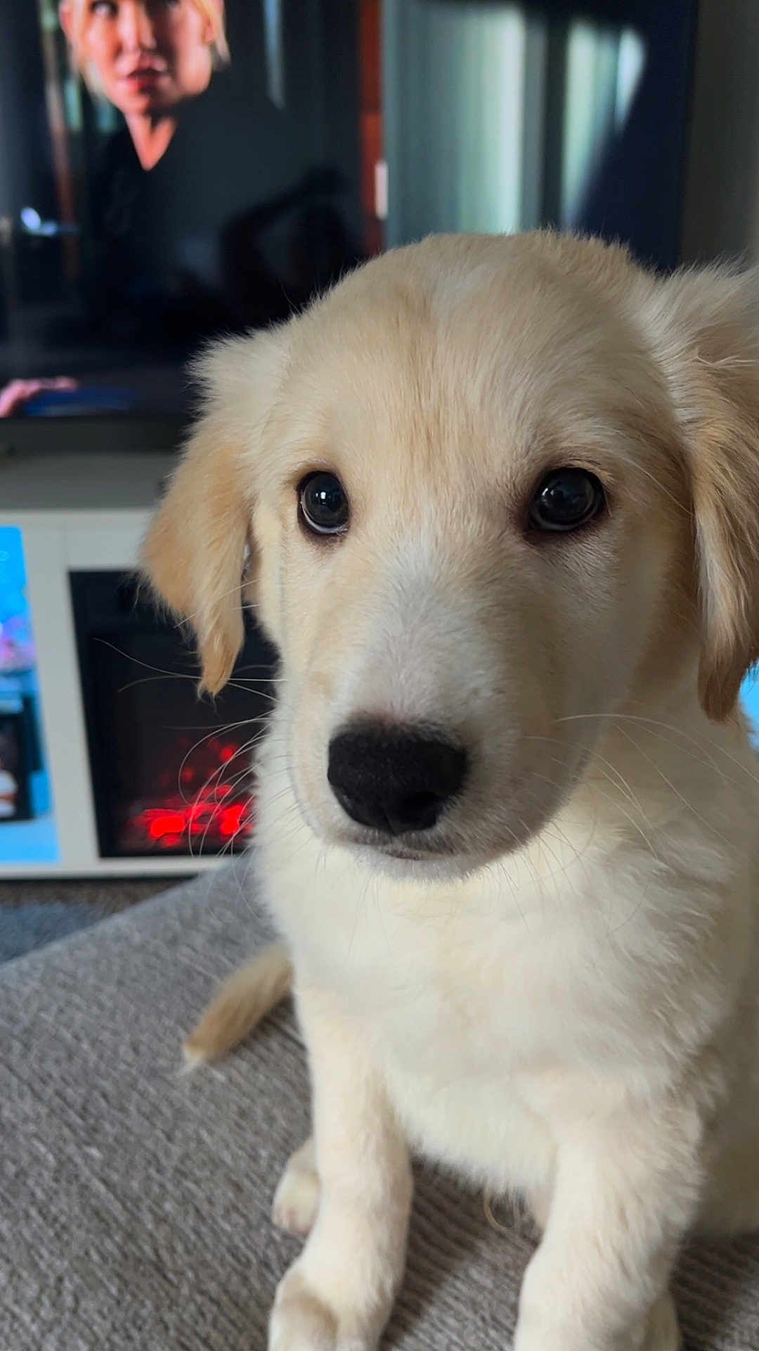 Simba