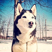 Lexus Sudbrook is registered to the contest to win money with this photo: