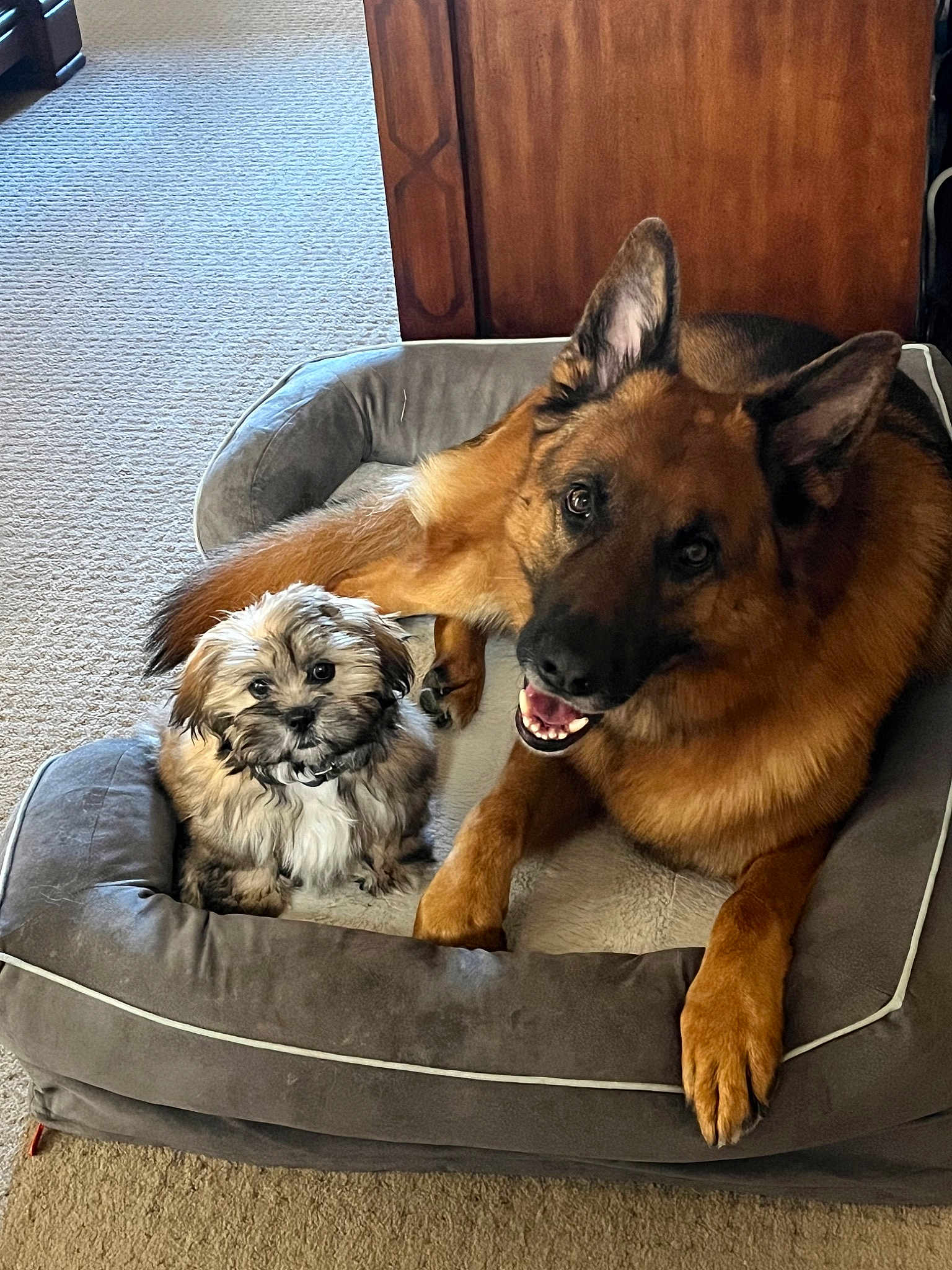 Teddy And Ritter