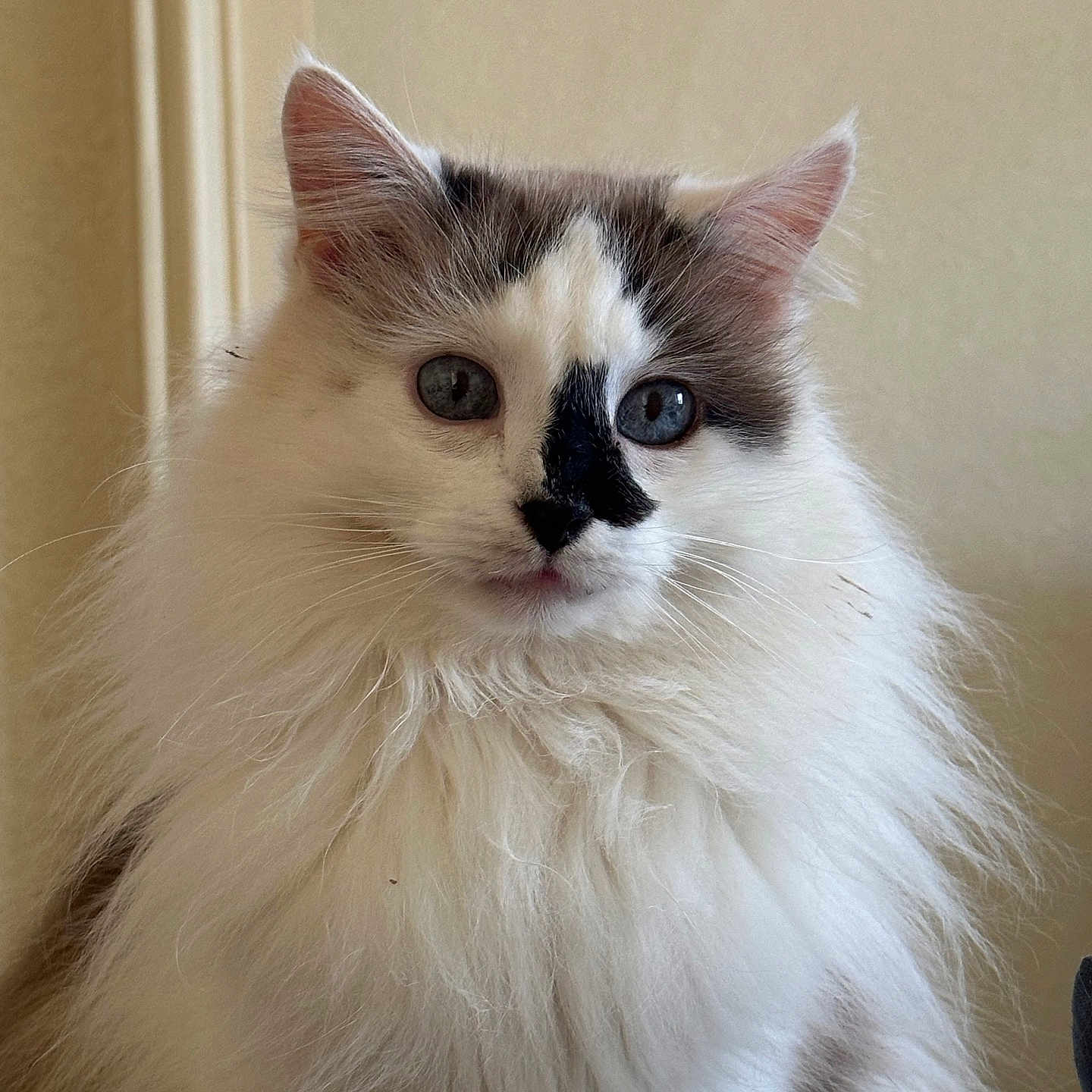 Rita