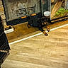 animal, black_and_tan, bowl, cozy, dog, domestic, fireplace, floor, furniture, hearth, home, indoor, pet, plants, puppy, relaxing, resting, rottweiler, terrarium, wooden_floor