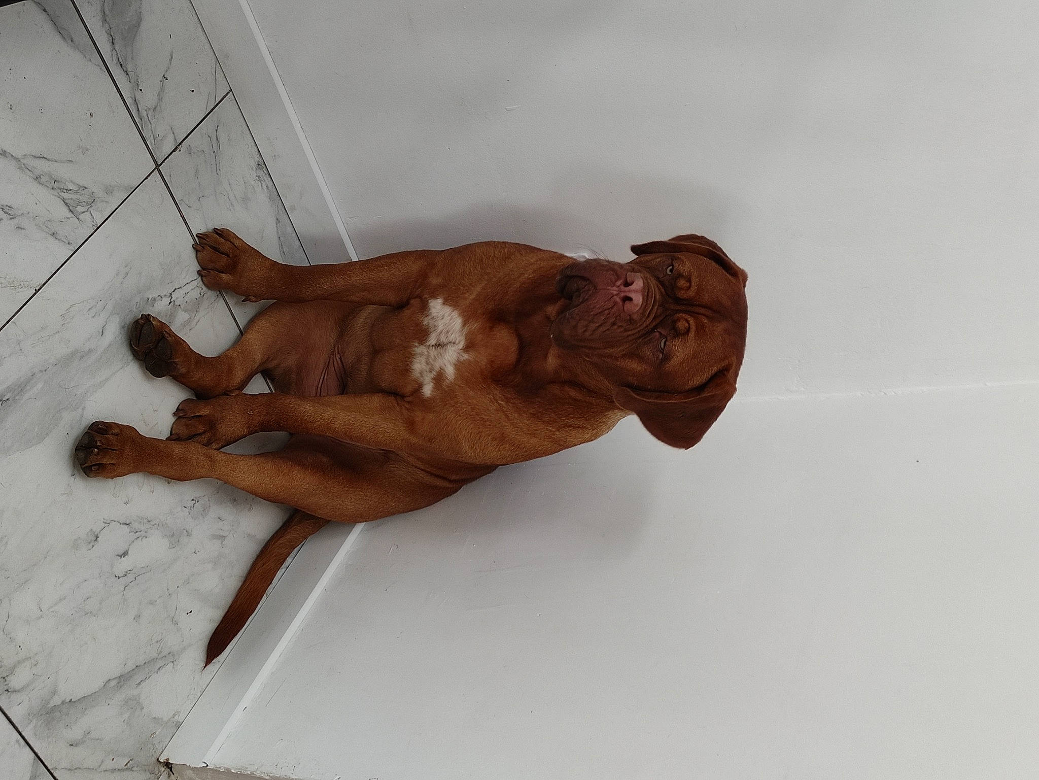 Tessy participe au concours pour gagner de l'argent avec cette photo : art, artifact, carving, chest, creative_arts, elbow, foot, gesture, human_leg, knee, liver, metal, religious_item, sculpture, statue, tail, trunk, visual_arts, wood, wrist