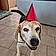 Loucky