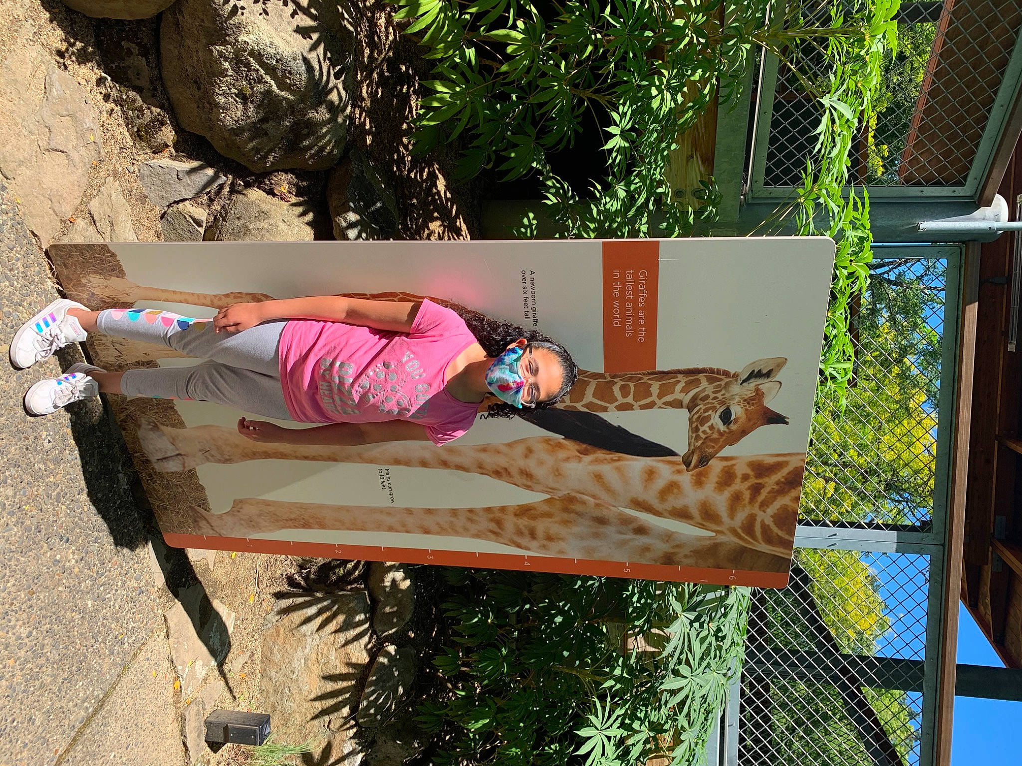 Marisa joined the competition — help win amazing prizes! fawn, felidae, leisure, person, plant, tree, vacation