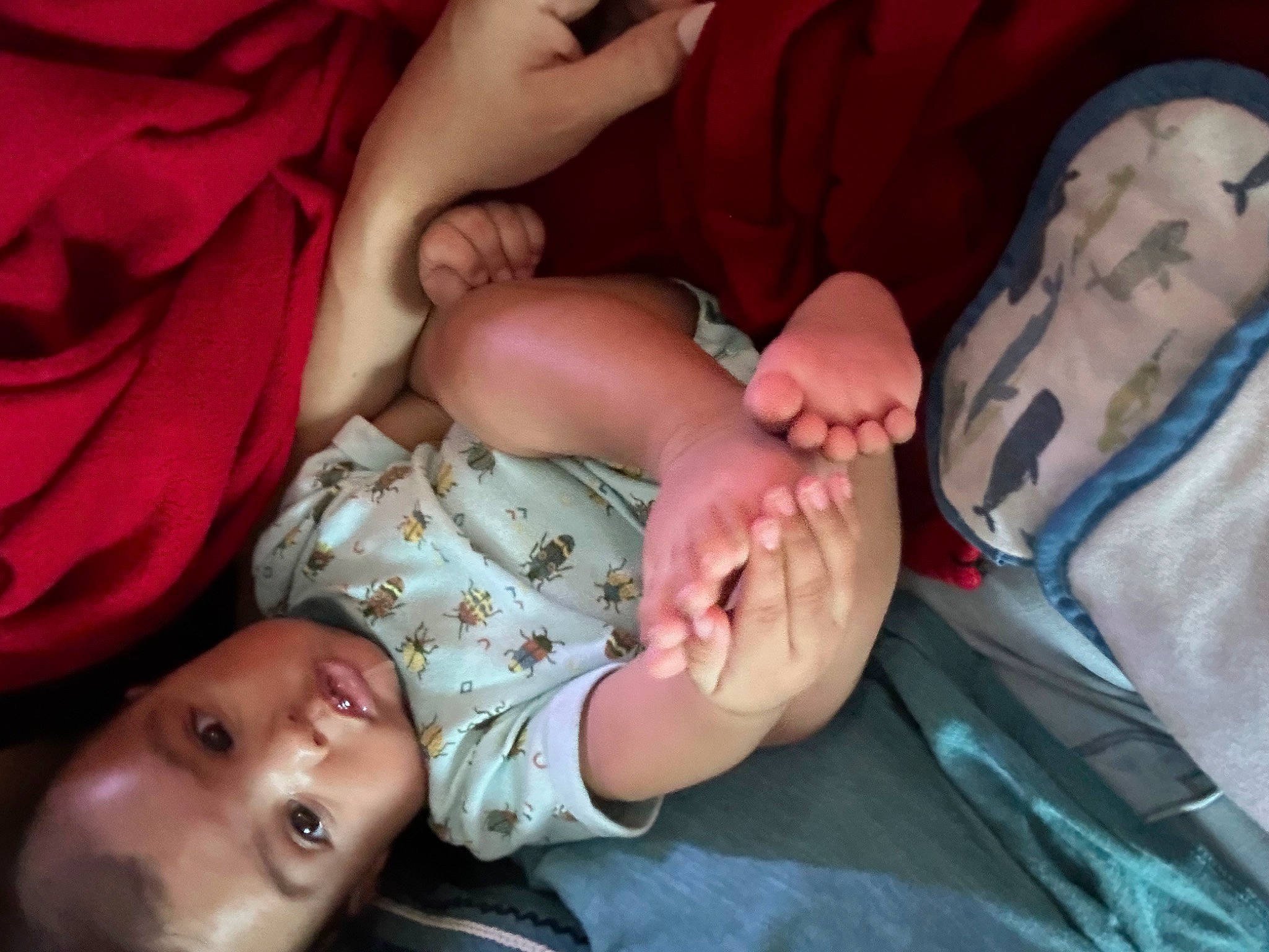 Ezra joined the competition — help win amazing prizes! baby, baby_toddler_clothing, cheek, child, comfort, finger, gesture, hand, happy, human_leg, interaction, leg, mouth, nail, person, product, skin, thumb, toddler, tree