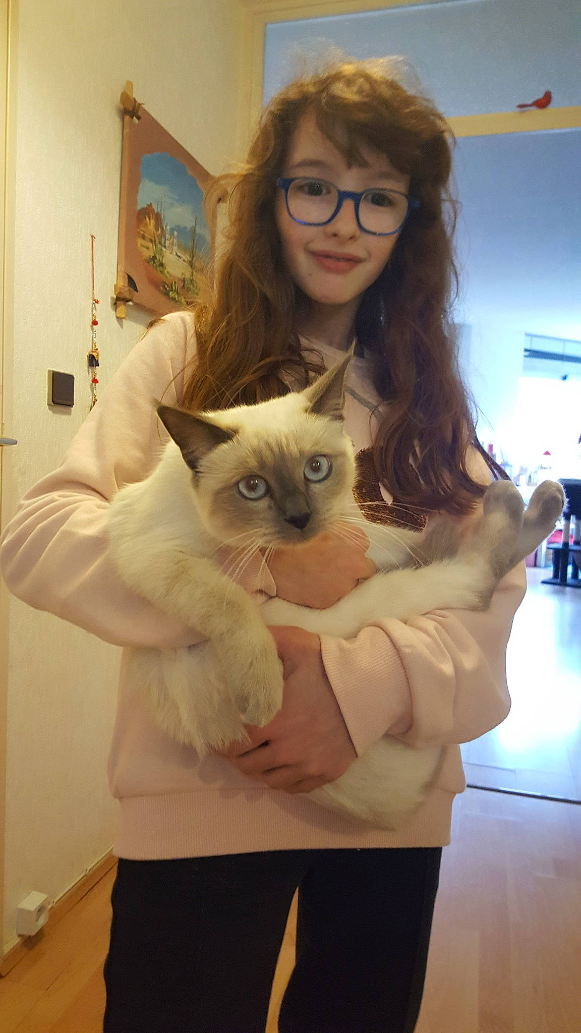 Neige Feldeman participe au concours pour gagner de l'argent avec cette photo : arm, carnivoran, cat, cat_like_mammal, eyewear, fur, girl, glasses, hair, human_hair_color, kitten, long_hair, mammal, person, shoulder, skin, small_to_medium_sized_cats, snapshot, textile, vertebrate