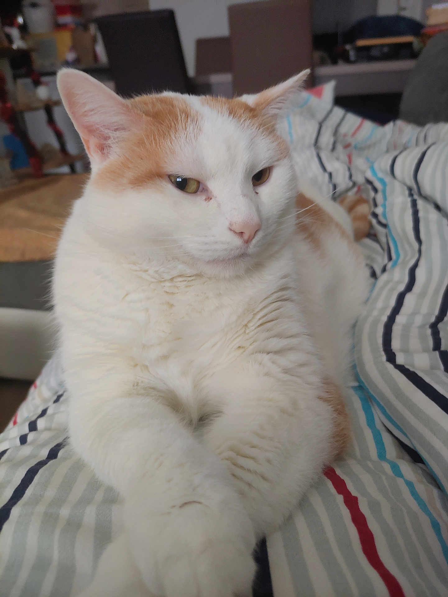 Tigrou