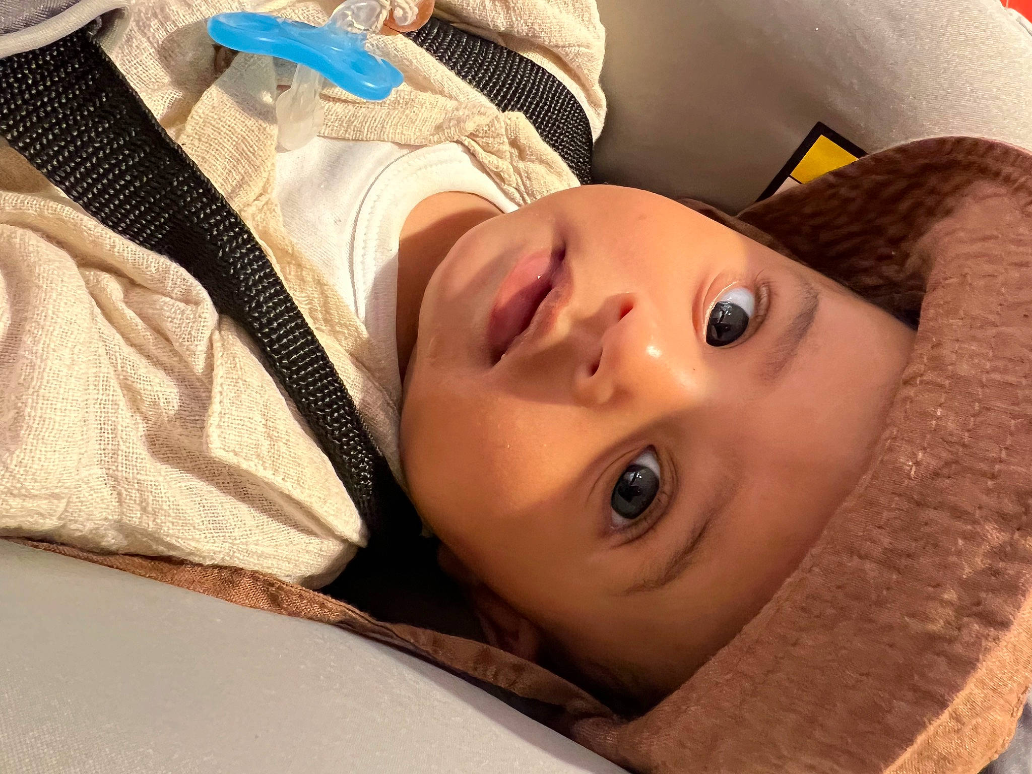 Isaïah a rejoint le concours — aidez-le/la à gagner de superbes lots ! black_hair, cheek, chin, comfort, eyebrow, eyelash, eyewear, face, flash_photography, happy, headwear, iris, jaw, lip, mammal, mouth, neck, nose, person, skin