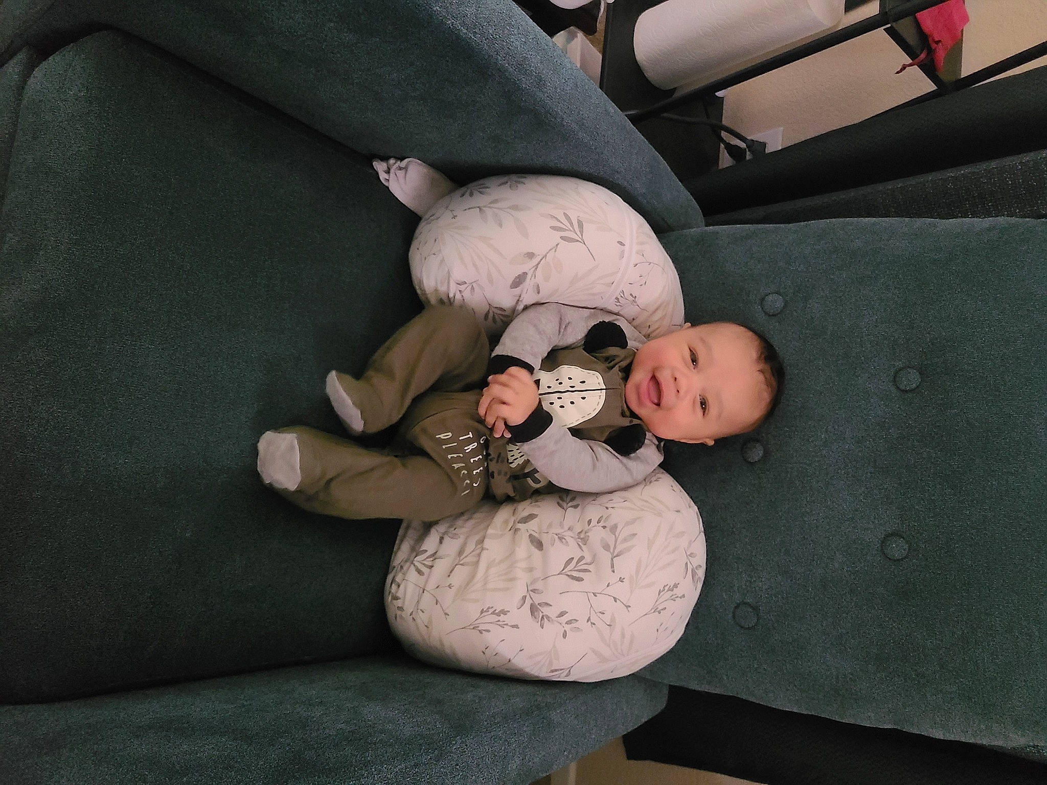 Dante joined the competition — help win amazing prizes! arm, auto_part, automotive_exterior, baby, baby_carriage, baby_products, baby_toddler_clothing, car_seat, child, comfort, family_car, finger, grey, hand, human_body, knee, leg, person, toddler, tree