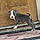 Dray Drizzy