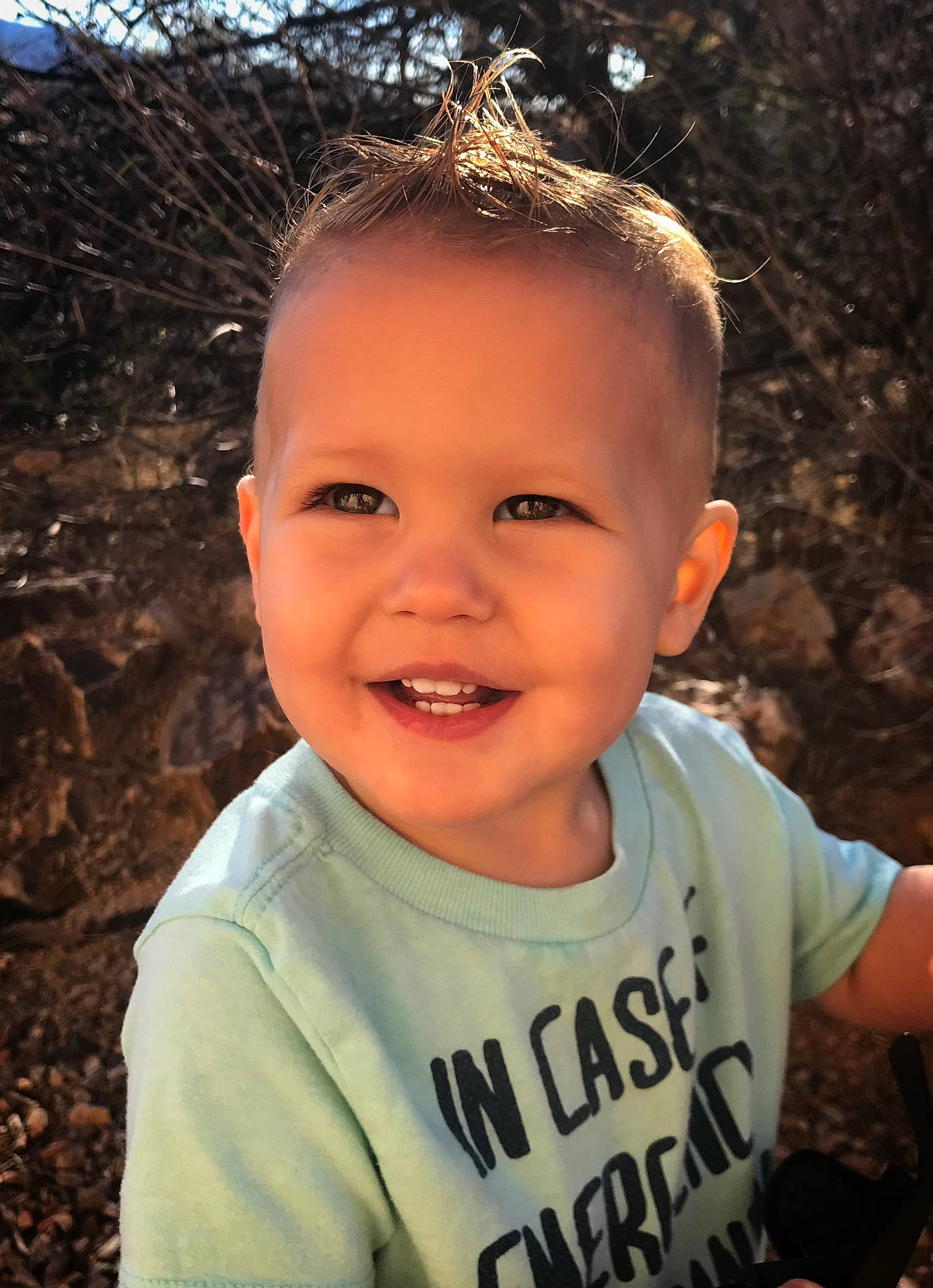 Carter is registered to the contest to win money with this photo: baby, blond, child, chin, cool, eye, flash_photography, forehead, grass, happy, iris, joy, mouth, people_in_nature, person, plant, sleeve, smile, t_shirt, toddler