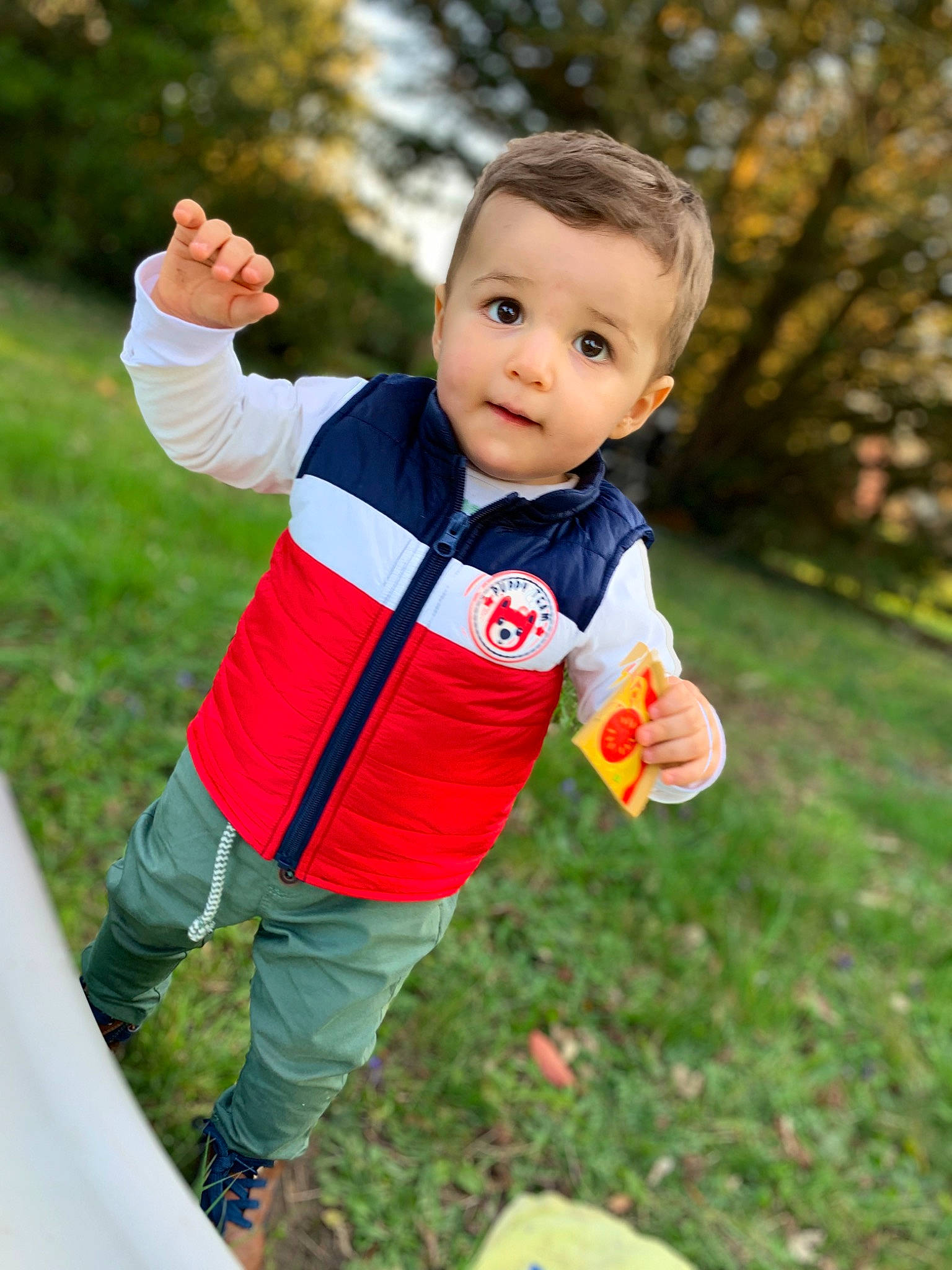 Nino participe au concours pour gagner de l'argent avec cette photo : baby, baby_toddler_clothing, child, face, fun, grass, happy, jacket, leisure, outerwear, people_in_nature, person, plant, recreation, sleeve, sneakers, spring, swing, t_shirt, toddler