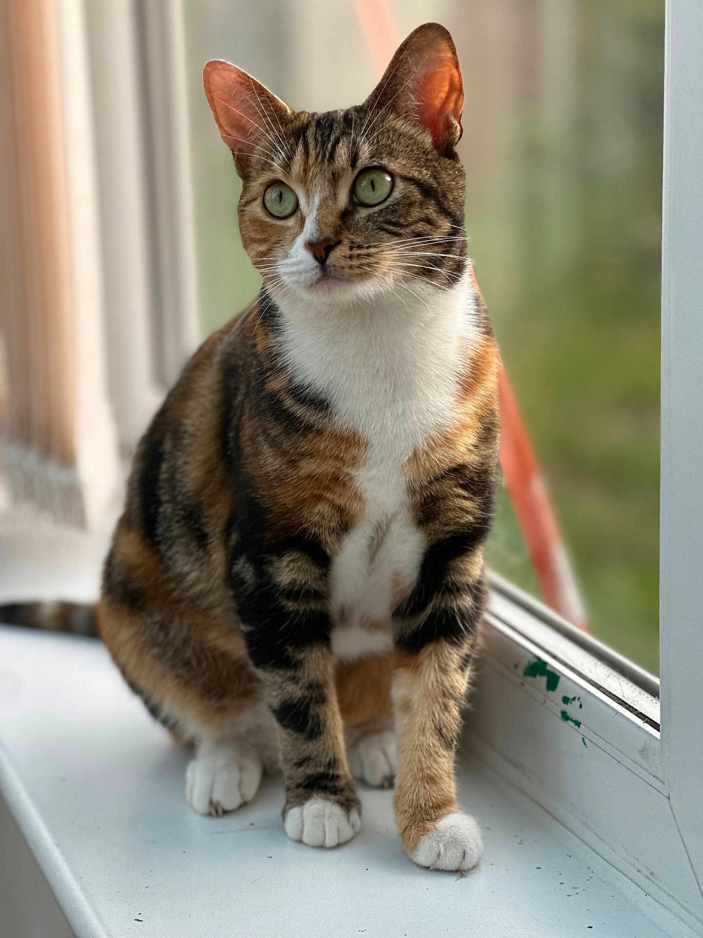 Belle