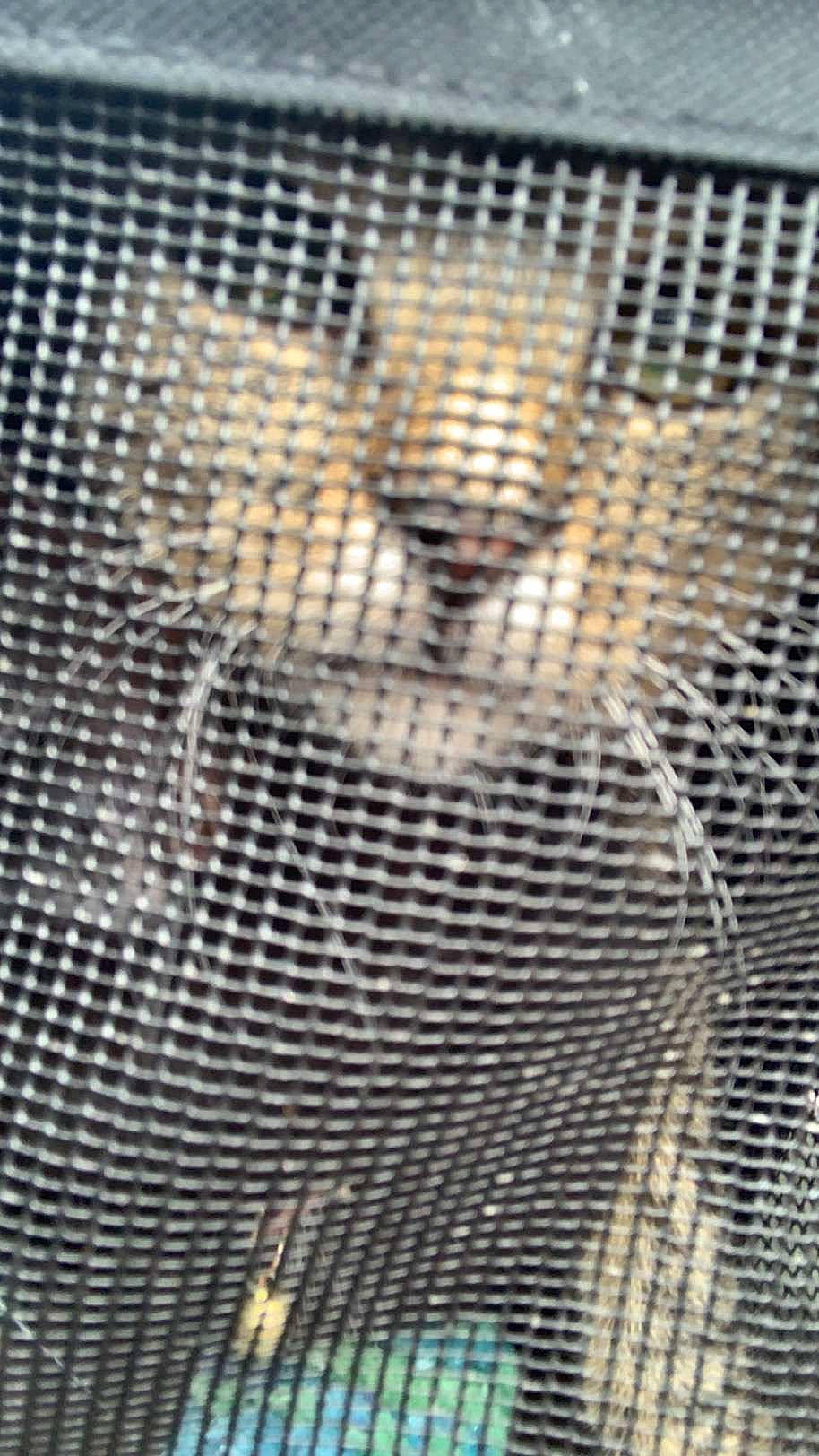 Miriam is registered to the contest to win money with this photo: close_up, flooring, font, glass, grille, mesh, metal, pattern, shadow, smile