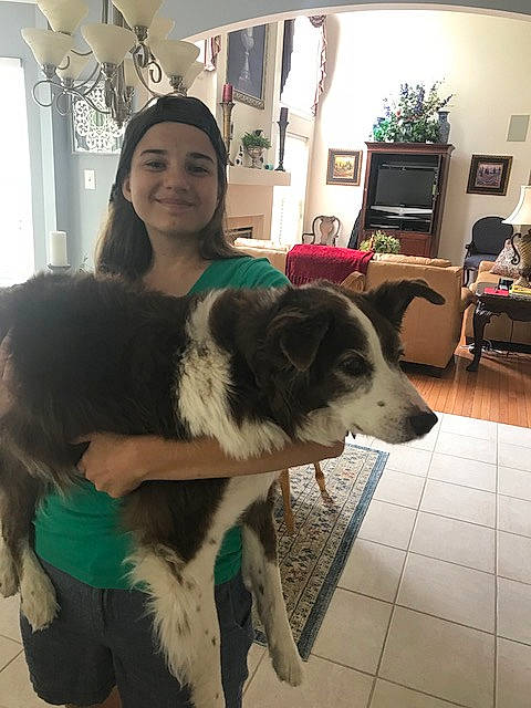 Lucy-doo is registered to the contest to win money with this photo: border_collie, canidae, carnivore, companion_dog, dog, dog_breed, fur, herding_dog, joy, mammal, mucuchies, person, sporting_group, vertebrate, working_dog