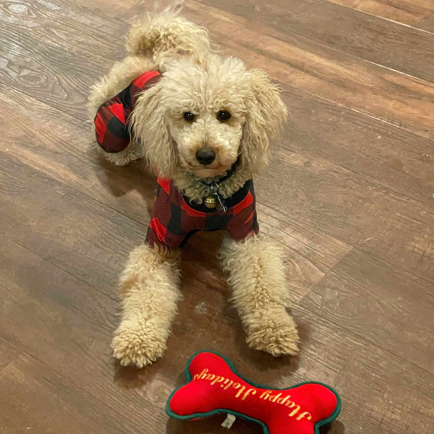 Coco