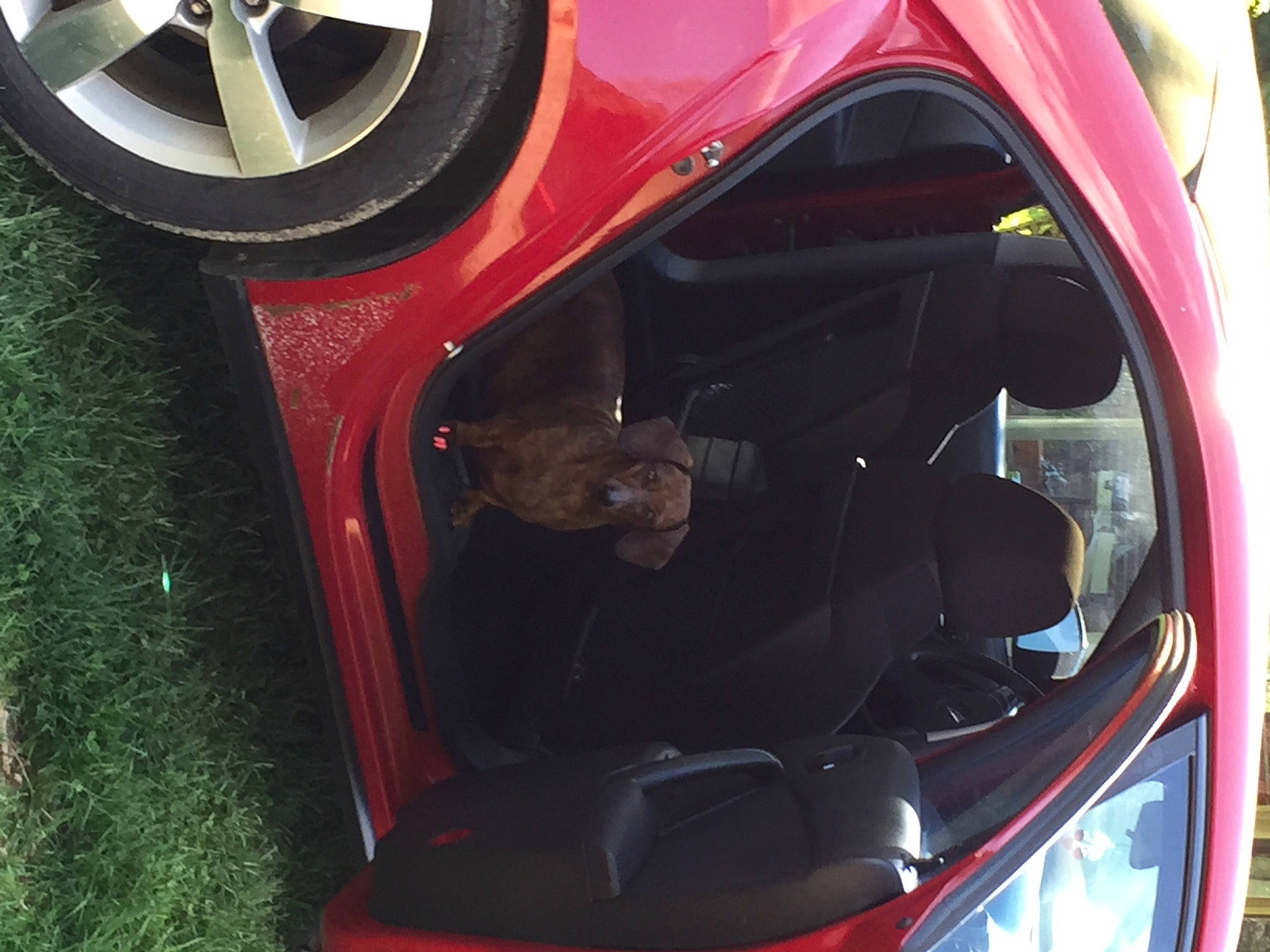 Maryjane joined the competition — help win amazing prizes! alloy_wheel, automotive_design, automotive_exterior, automotive_lighting, automotive_tail_brake_light, automotive_tire, automotive_wheel_system, bumper, car, hood, hubcap, light, mode_of_transport, motor_vehicle, rim, tire, trunk, vehicle, vehicle_door, wheel