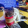 cat, chair, clutter, container, cylindrical, domestic, electronics, feline, handwritten_text, household_items, indoor, kitchen, papers, pet, relaxed, remote_control, resting, screen, table, warning_message