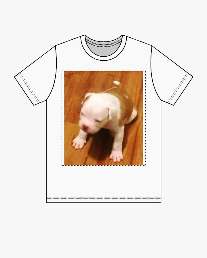 Little Bigfoot is registered to the contest to win money with this photo: active_shirt, brand, canidae, circle, collar, font, fur, graphics, jersey, logo, pattern, product, rectangle, sleeve, sportswear, t_shirt, terrestrial_animal, top, uniform, working_animal