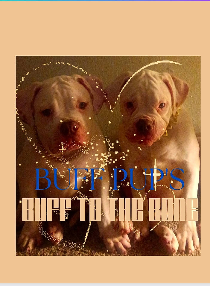 Titan joined the competition — help win amazing prizes! adaptation, advertising, art, canidae, carnivore, companion_dog, dog, dog_breed, font, graphics, happy, illustration, liver, photo_caption, poster, smile, snout, sporting_group, terrestrial_animal, working_animal