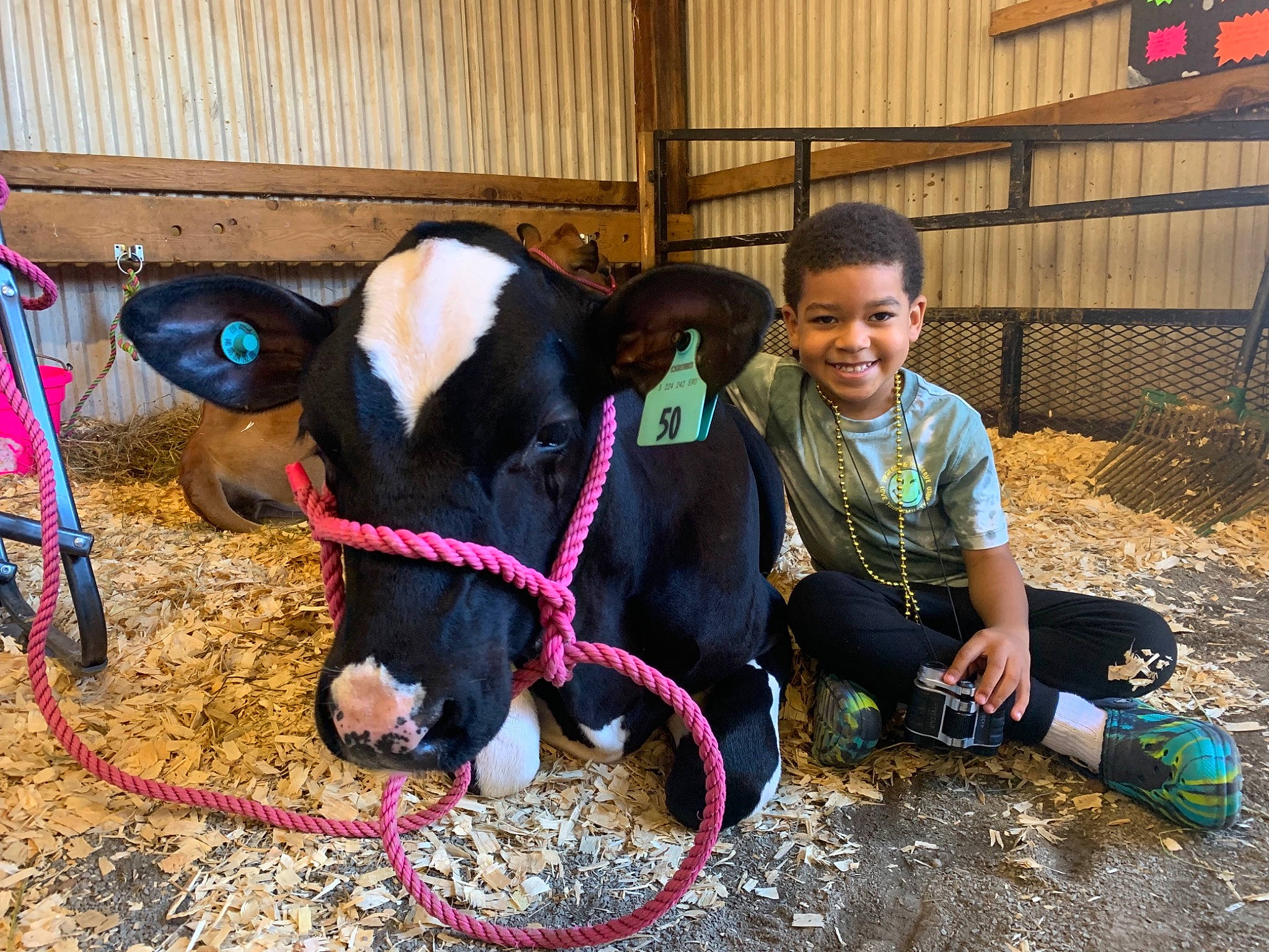 Jayceon joined the competition — help win amazing prizes! bovine, dairy, dairy_cow, event, fawn, fun, goats, grass, horn, human_leg, joy, landscape, livestock, mammal, person, smile, snout, soil, toddler, tradition